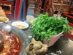 -袁老四老火锅(大丰店)