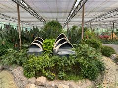 -南宫五洲植物乐园