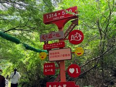 -红崖峡谷景区