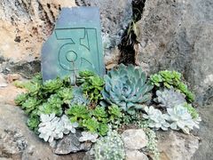 -丽江束河古镇-石莲古寺