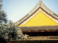 -龙华寺