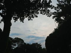 -佛慧山