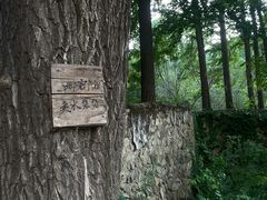 -阳台山自然风景区