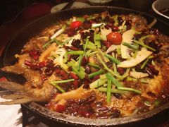 -老板恋上鱼(荣盛广场店)