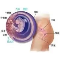 -邢台妇产医院