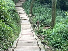 -青城山