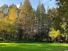 -上海植物园·停车场