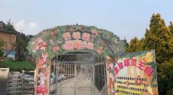 -童心园麦窑·儿童拓展探宝乐园