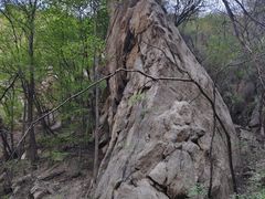 -大岭沟猕猴桃谷风景区