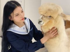 -怪兽屋·羊驼·猫咖·狗咖(俊华广场店)