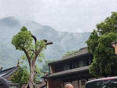 -天台山景区