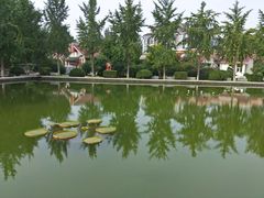-石家庄市植物园