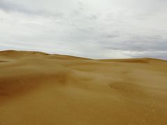 景点-沙坡头旅游度假区