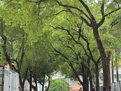 -光明刘冰乳鸽店(光明法政北路店)