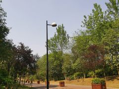 -白鹭湾湿地公园