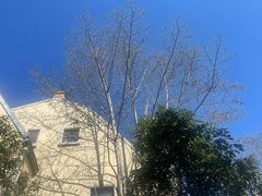 -颐和路民国时期公馆风貌区