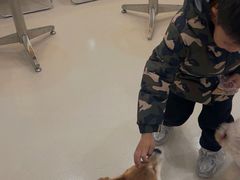 -共舞时光猫咖·狗咖(新街口店)
