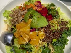 -金鼎轩(亚运村店)