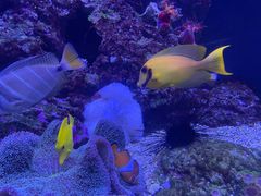 -成都浩海立方海洋公园