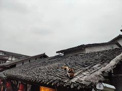 -磁器口古镇