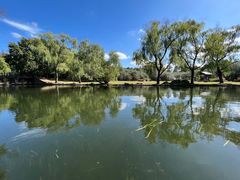 -上海共青森林公园