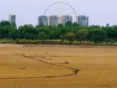 -灞河西岸滨河公园