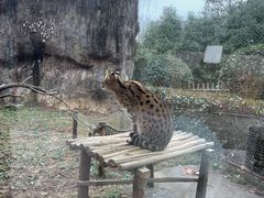 -杭州野生动物世界
