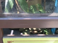 -广州神农草堂中医药博物馆