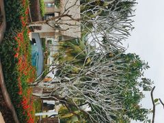 -石梅湾艾美度假酒店