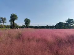 -汉长安城未央宫国家考古遗址公园