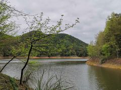 -千岛湖龙川湾