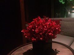 -丽江金茂隐逸酒店-凯悦臻选SPA