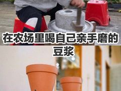 -前小桔亲子创意农场·草莓采摘·露营烧烤