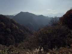 -抱龙峪