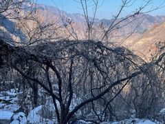 -秦岭终南山世界地质公园翠华山景区