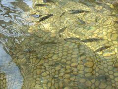 金石唐风国际温泉会馆-金石唐风国际温泉会馆