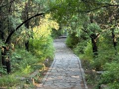 -百泉景区