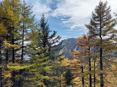 -芦芽山旅游度假区