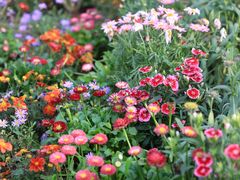 大堂-冰冰龙虾·江湖菜·花园江景餐厅