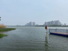 -金银湖国家城市湿地公园