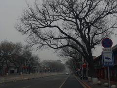-东华门大街小区