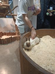 -Zoolung Zoolung动物主题公园(海信广场店)