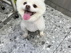 -萌兽医馆·绝育·24小时内科·宠物医院(德胜店)