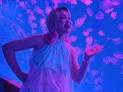 -多彩贵州城极地海洋世界