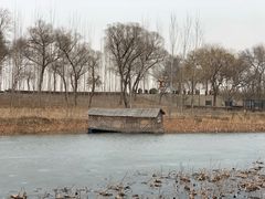 -白洋淀景区