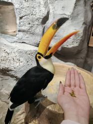 -Zoolung Zoolung动物主题公园(海信广场店)