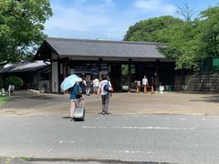 -名古屋城