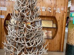 -北京鹿世界主题园