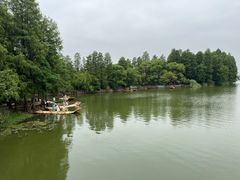 -东湖落雁景区