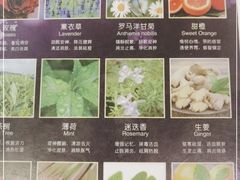 -玄月·SPA按摩泡泡浴(西安路店)